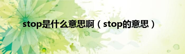 stop是什么意思啊（stop的意思）