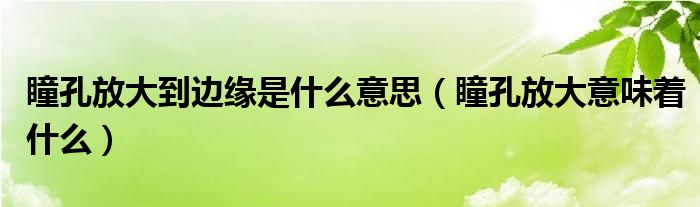 瞳孔放大到边缘是什么意思（瞳孔放大意味着什么）