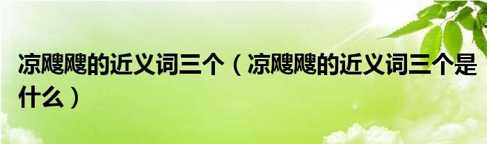 凉飕飕的近义词三个（凉飕飕的近义词三个是什么）