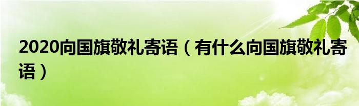 2020向国旗敬礼寄语（有什么向国旗敬礼寄语）