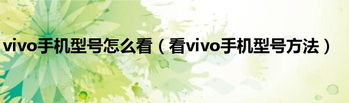 vivo手机型号怎么看（看vivo手机型号方法）