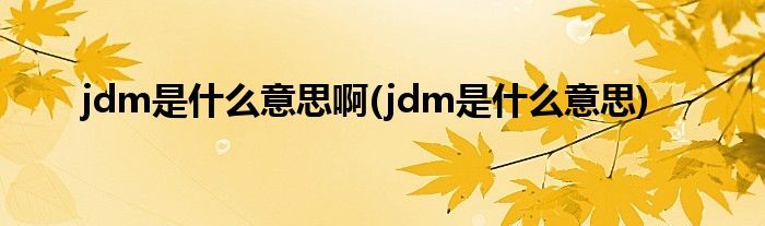 jdm是什么意思啊(jdm是什么意思)