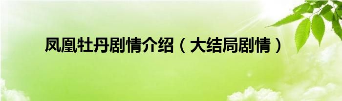 凤凰牡丹剧情介绍（大结局剧情）