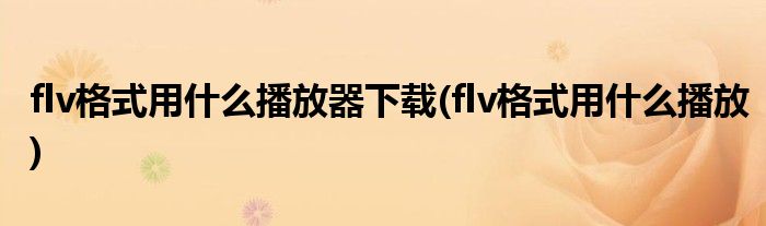 flv格式用什么播放器下载(flv格式用什么播放)