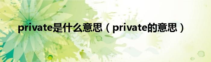 private是什么意思（private的意思）