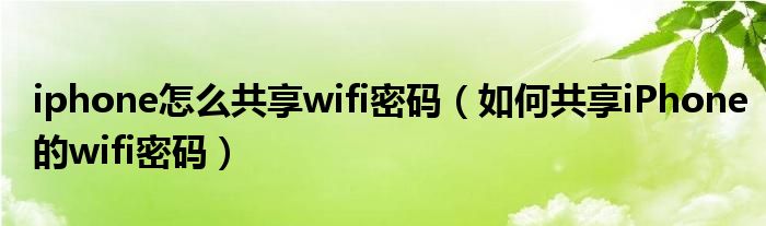 iphone怎么共享wifi密码（如何共享iPhone的wifi密码）