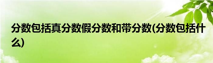 分数包括真分数假分数和带分数(分数包括什么)