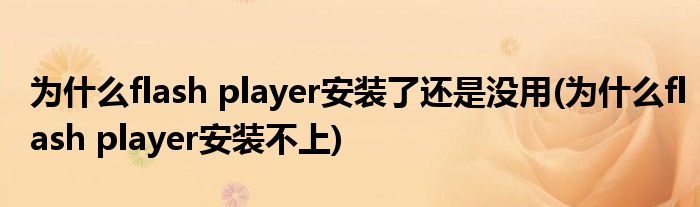 为什么flash player安装了还是没用(为什么flash player安装不上)