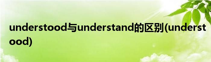 understood与understand的区别(understood)