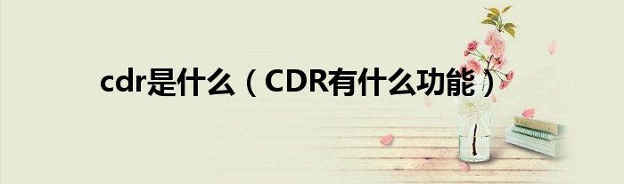 cdr是什么（CDR有什么功能）