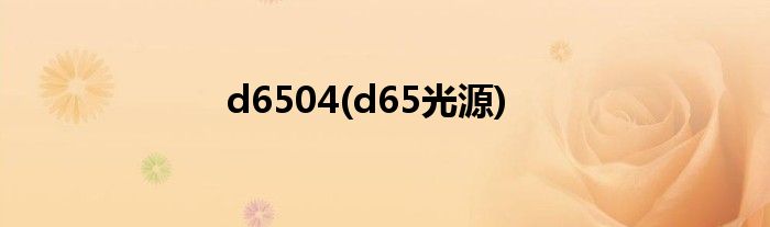 d6504(d65光源)