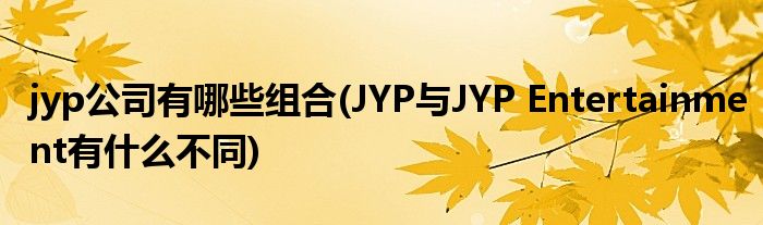 jyp公司有哪些组合(JYP与JYP Entertainment有什么不同)