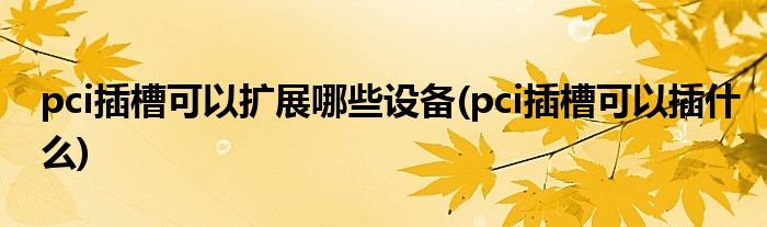 pci插槽可以扩展哪些设备(pci插槽可以插什么)