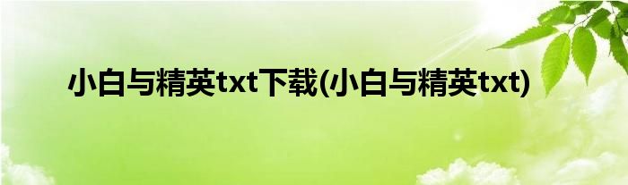 小白与精英txt下载(小白与精英txt)