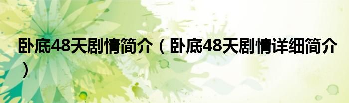 卧底48天剧情简介（卧底48天剧情详细简介）