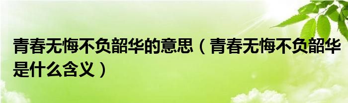 青春无悔不负韶华的意思（青春无悔不负韶华是什么含义）