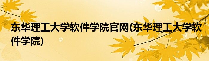 东华理工大学软件学院官网(东华理工大学软件学院)