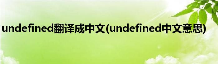 undefined翻译成中文(undefined中文意思)