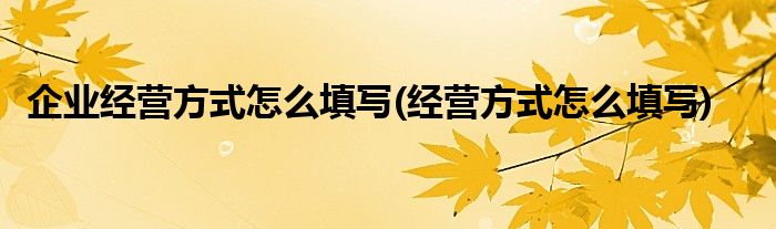 企业经营方式怎么填写(经营方式怎么填写)