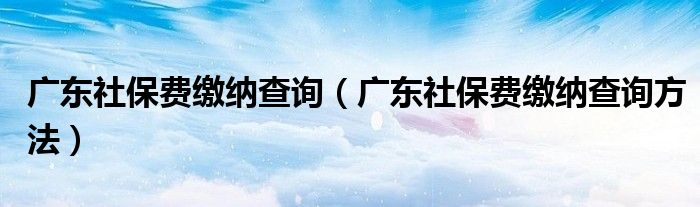 广东社保费缴纳查询（广东社保费缴纳查询方法）