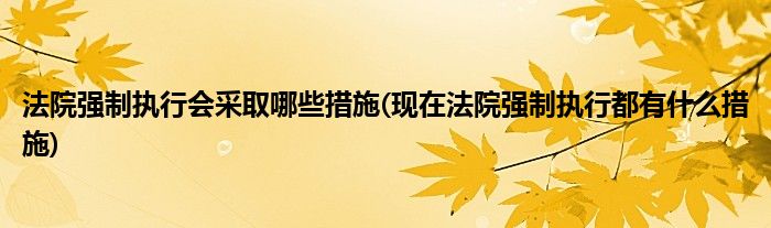 法院强制执行会采取哪些措施(现在法院强制执行都有什么措施)