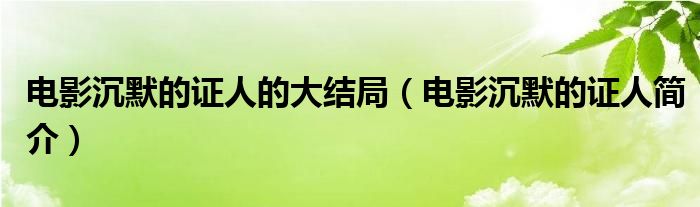 电影沉默的证人的大结局（电影沉默的证人简介）