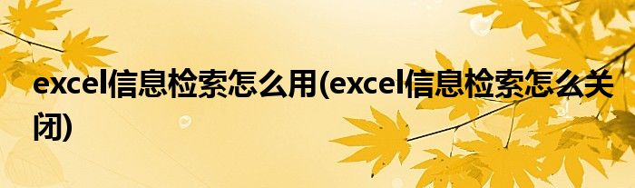 excel信息检索怎么用(excel信息检索怎么关闭)