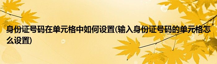 身份证号码在单元格中如何设置(输入身份证号码的单元格怎么设置)