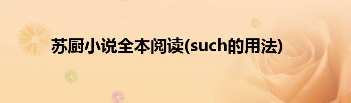 苏厨小说全本阅读(such的用法)