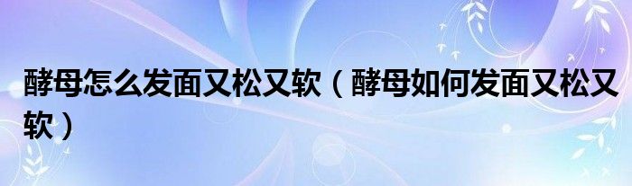 酵母怎么发面又松又软（酵母如何发面又松又软）