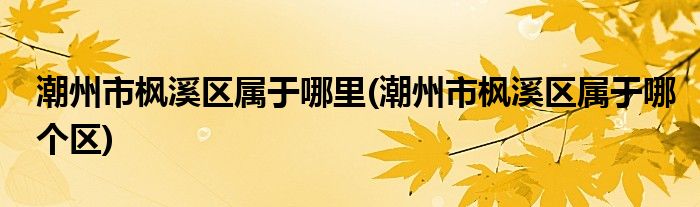 潮州市枫溪区属于哪里(潮州市枫溪区属于哪个区)