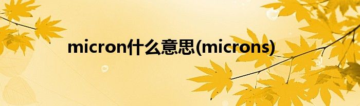 micron什么意思(microns)