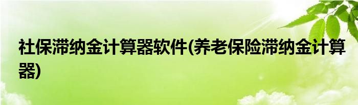 社保滞纳金计算器软件(养老保险滞纳金计算器)