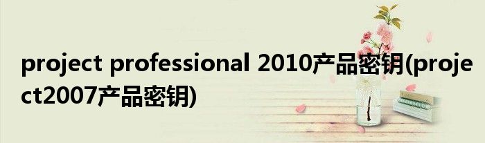 project professional 2010产品密钥(project2007产品密钥)