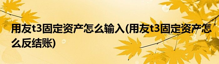 用友t3固定资产怎么输入(用友t3固定资产怎么反结账)