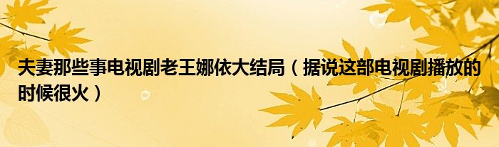 夫妻那些事电视剧老王娜依大结局（据说这部电视剧播放的时候很火）