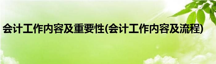 会计工作内容及重要性(会计工作内容及流程)