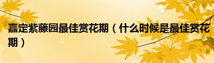 嘉定紫藤园最佳赏花期（什么时候是最佳赏花期）