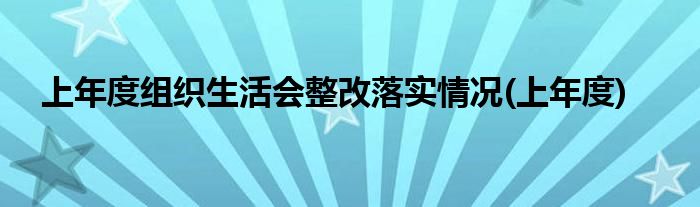 上年度组织生活会整改落实情况(上年度)