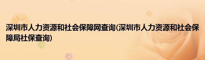 深圳市人力资源和社会保障网查询(深圳市人力资源和社会保障局社保查询)