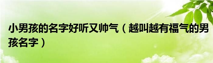 小男孩的名字好听又帅气（越叫越有福气的男孩名字）