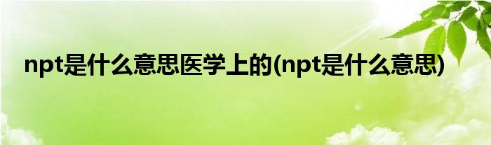 npt是什么意思医学上的(npt是什么意思)