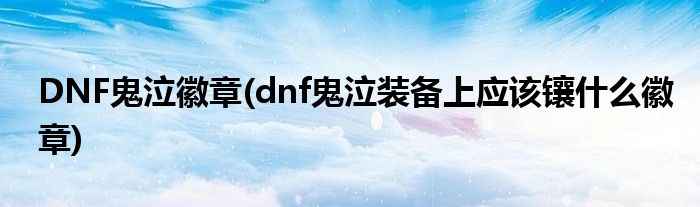 DNF鬼泣徽章(dnf鬼泣装备上应该镶什么徽章)