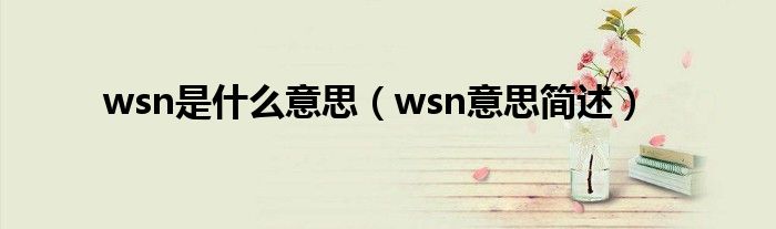 wsn是什么意思（wsn意思简述）