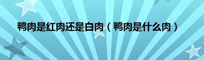 鸭肉是红肉还是白肉（鸭肉是什么肉）