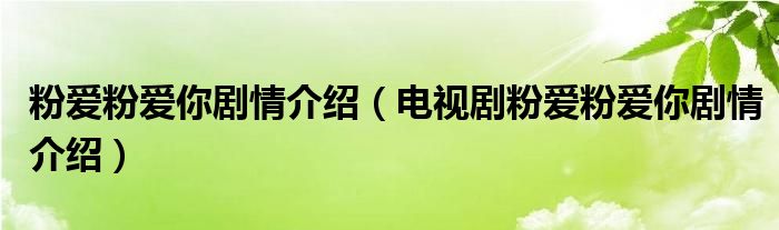 粉爱粉爱你剧情介绍（电视剧粉爱粉爱你剧情介绍）