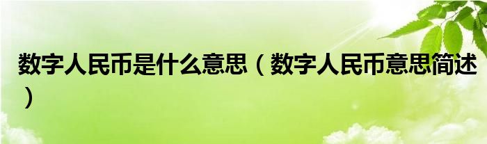 数字人民币是什么意思（数字人民币意思简述）