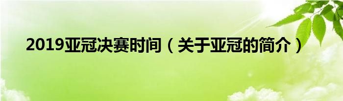 2019亚冠决赛时间（关于亚冠的简介）