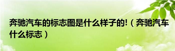 奔驰汽车的标志图是什么样子的!（奔驰汽车什么标志）