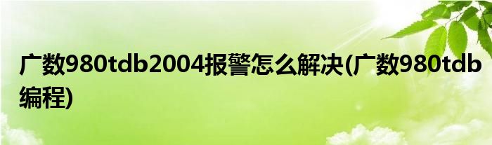 广数980tdb2004报警怎么解决(广数980tdb编程)